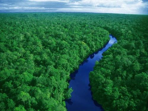 巴西亚马逊热带雨林