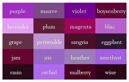 紫色英语怎么读音