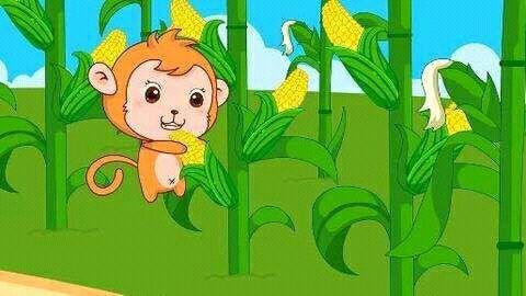 小猴子掰玉米的相关图片